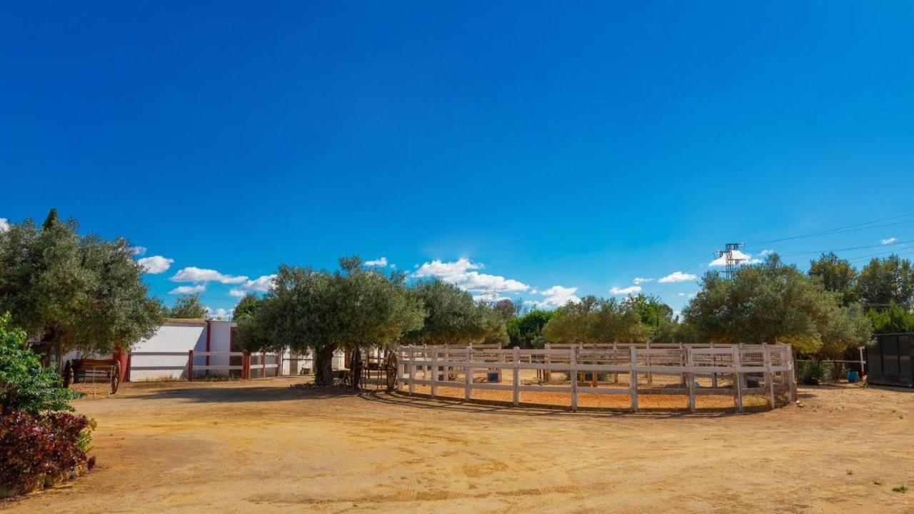 Finca La Canera Alcala De Guadaira By Ruralidays Extérieur photo